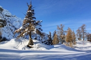 25 aprile 2012 in VALBIANDINO con puntata al Rif.Grassi e salita allo Zuc di Valbona - FOTOGALLERY